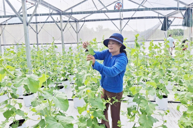 TP Huế: Thúc đẩy kinh tế nông thôn từ chương trình OCOP giai đoạn mới - Ảnh 3.