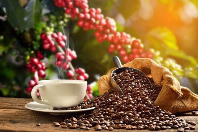 Xuất khẩu cà phê tăng 11,8% về lượng nhưng giảm 10,7% về trị giá- Ảnh 1.