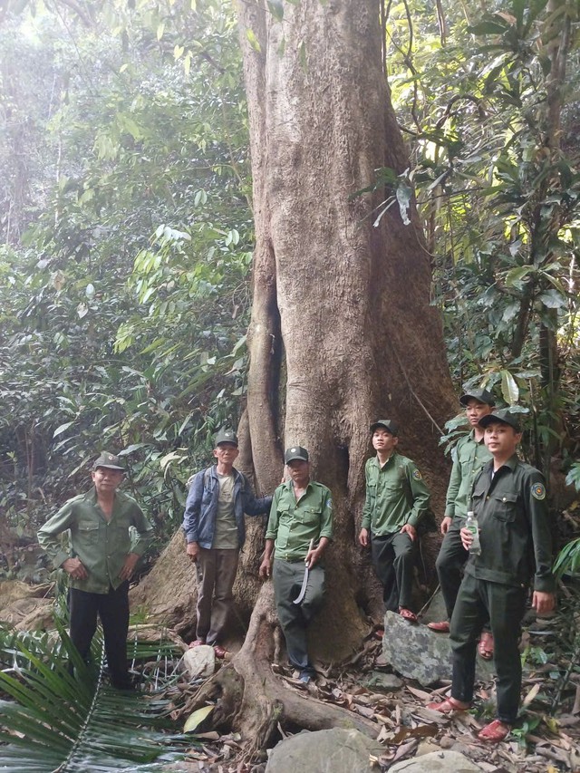 Chuyện nghề giữ rừng trong mùa nắng nóng: Những bước chân thầm lặng giữa đại ngàn- Ảnh 4.