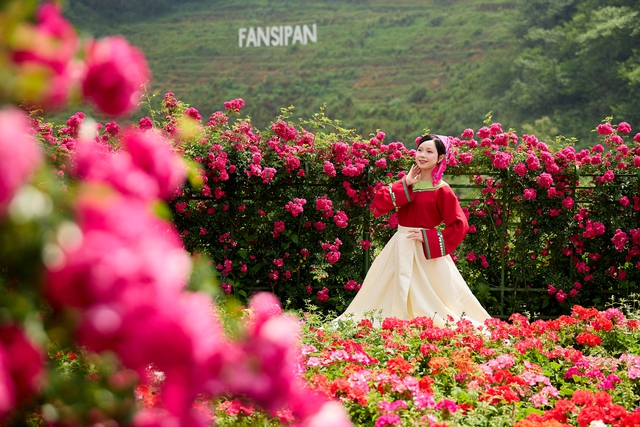 Khám phá "ốc đảo mát lạnh" của miền Bắc tại Sa Pa mùa hè này- Ảnh 1.