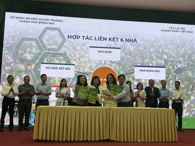 Từ đặc sản địa phương đến hàng xuất khẩu chiến lược: Bưởi Đồng Nai tăng tốc chinh phục thị trường quốc tế- Ảnh 1.