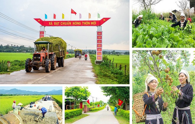 Hà Nội xây dựng Bộ tiêu chí nông thôn mới theo hướng hiện đại, bền vững- Ảnh 1. Hà Nội xây dựng Bộ tiêu chí nông thôn mới theo hướng hiện đại, bền vững- Ảnh 1.