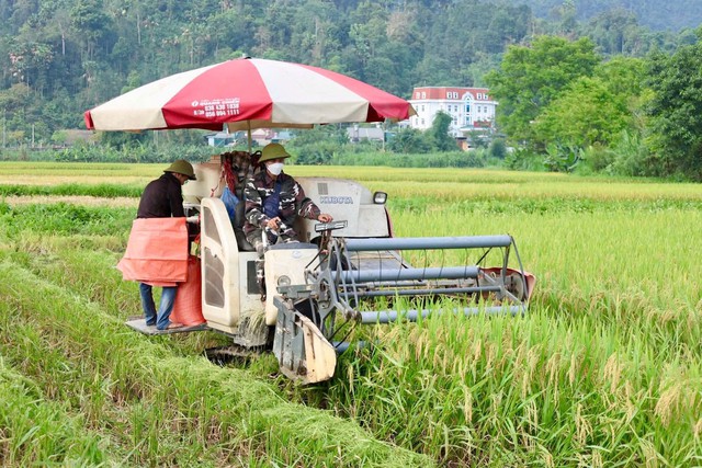 Đảng ủy xã Lâm Bình: Phát huy vai trò lãnh đạo, tạo động lực phát triển toàn diện- Ảnh 4.