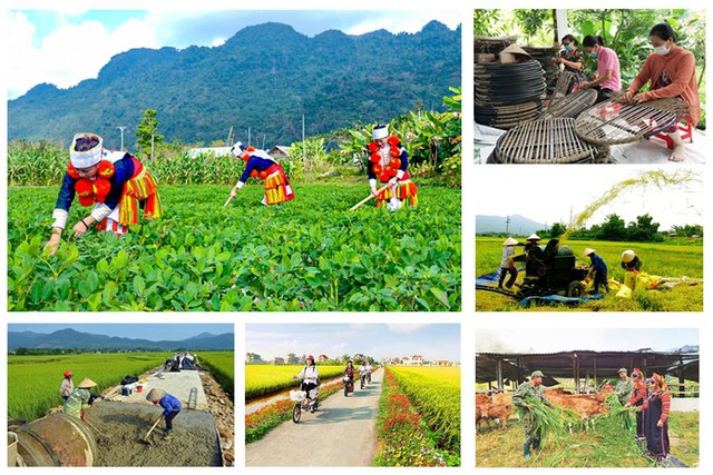 Bổ sung nguồn lực cho 27 địa phương thực hiện 3 chương trình mục tiêu quốc gia - Ảnh 1.