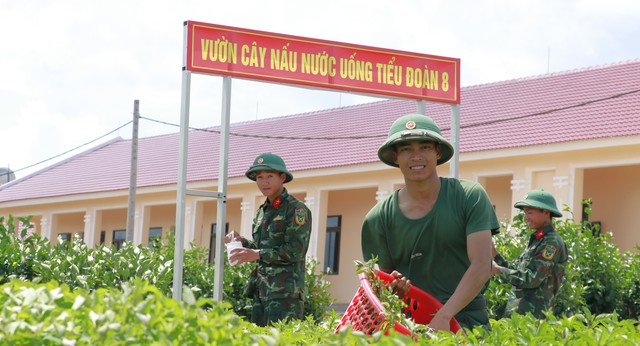 Trung đoàn 95 nỗ lực xây dựng doanh trại chính quy- Ảnh 6.
