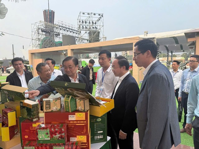 Thái Nguyên: Về nơi được mệnh danh "Ngũ đại danh trà"- Ảnh 1.