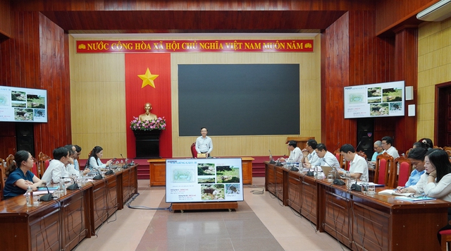 Quảng Trị: Thảo luận các quy hoạch bảo quản, tu bổ, phục hồi các di tích lịch sử, văn hóa trên địa bàn - Ảnh 1.