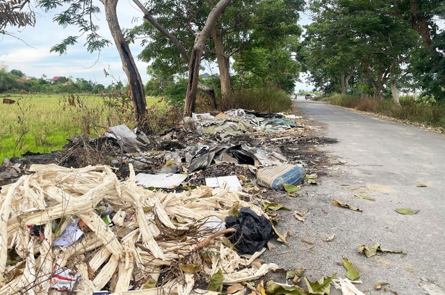 Dự án “treo” ở Nghệ An - Bài 1: “Đất vàng” hoá “đất hoang” - Ảnh 3.