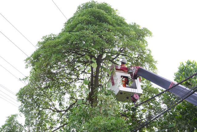 Chủ động sử dụng điện an toàn để bảo vệ chính mình- Ảnh 2.