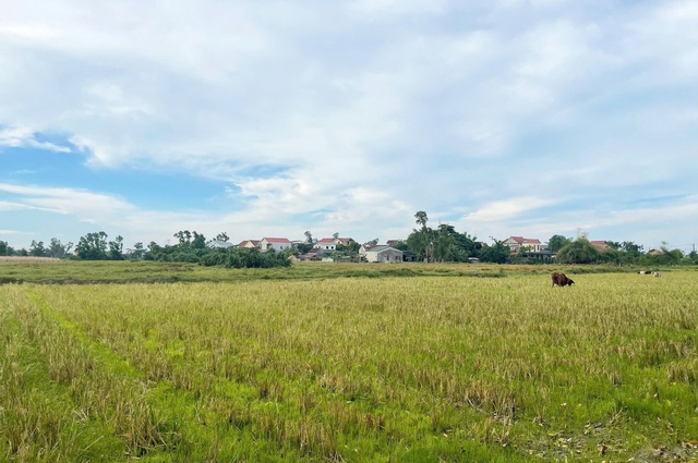 Dự án “treo” ở Nghệ An – Bài 2: Giải pháp tháo gỡ, xử lý dứt điểm - Ảnh 3.