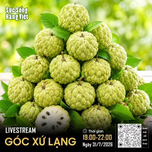 "Lạng Sơn Corner" giữa lòng Hà Nội sẽ đưa đặc sản xứ Lạng đến gần người tiêu dùng Thủ đô - Ảnh 2.