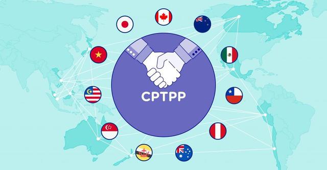 Doanh nghiệp cần được hỗ trợ nhiều hơn để khai thác hiệu quả CPTPP - Ảnh 1.