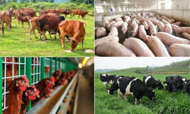 Loạt chính sách mới nổi bật có hiệu lực từ tháng 8/2026- Ảnh 2.