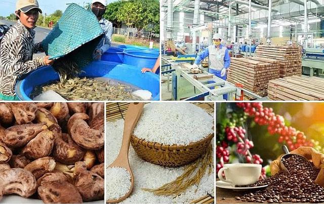 Tháo gỡ điểm nghẽn, hướng tới mục tiêu xuất khẩu nông, lâm, thủy sản vượt 74 tỷ USD- Ảnh 1.