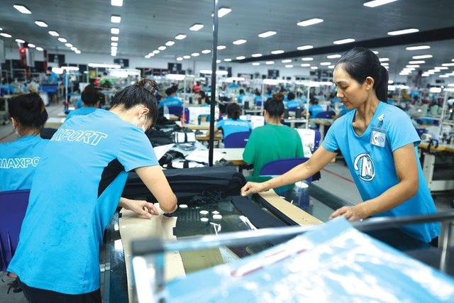 Sau 5 năm, số doanh nghiệp FDI tại TP.HCM tăng 41%- Ảnh 1.