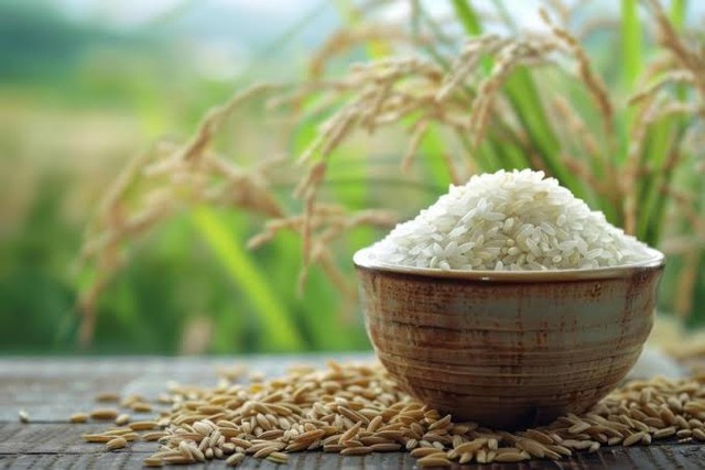 Đề xuất giá sàn mua bán gạo thơm- Ảnh 1.