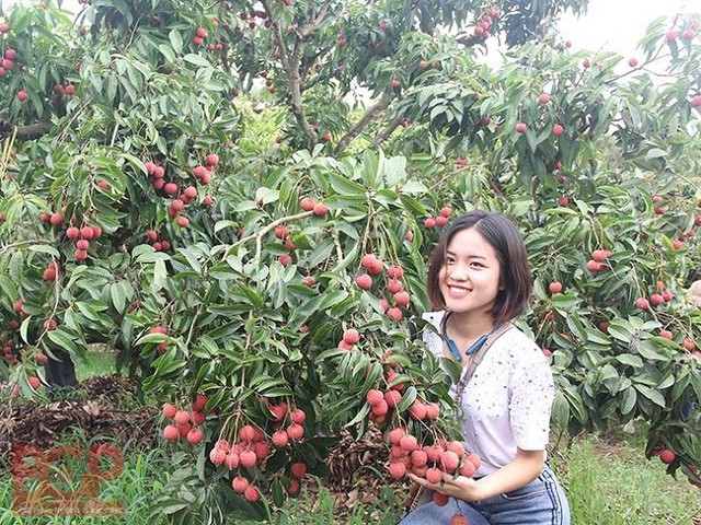 Bắc Ninh - Đánh thức miền di sản, mở rộng hành trình trải nghiệm- Ảnh 4.