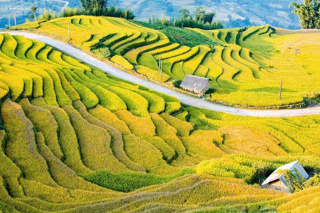 Y Tý đánh thức sức hút đại ngàn qua Lễ hội mùa Thu 2026 - Ảnh 1.