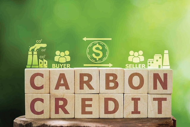 Có 8 công ty chứng khoán đăng ký làm thành viên lưu ký carbon- Ảnh 1.