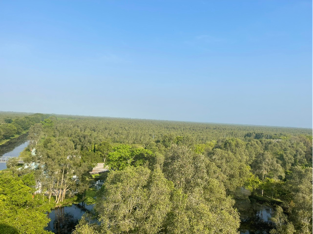 Phát triển thị trường tín chỉ carbon từ tài nguyên rừng vùng ĐBSCL: Cơ hội và những vấn đề đặt ra- Ảnh 1.