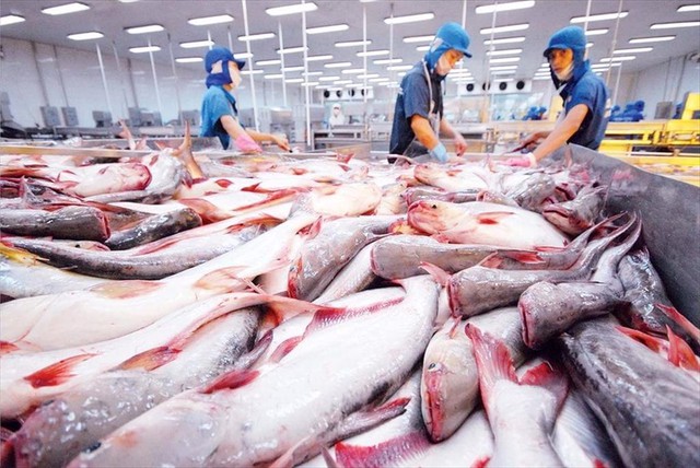 Xuất khẩu cá tra tăng trưởng nhờ thị trường Trung Quốc- Ảnh 1.