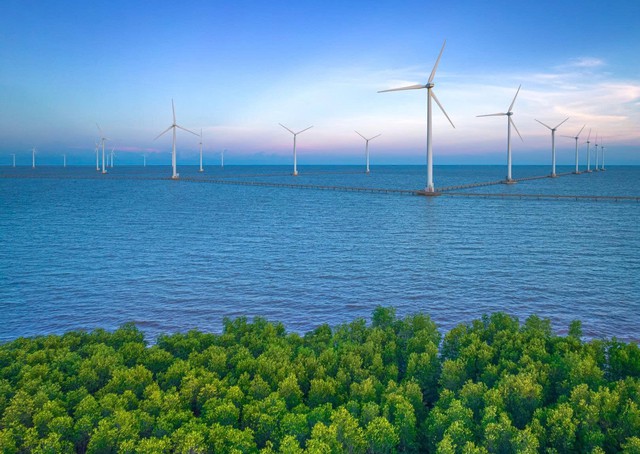 Cà Mau chấp thuận chủ trương đầu tư 3 dự án nhà máy điện gió với tổng công suất 170 MW - Ảnh 1.