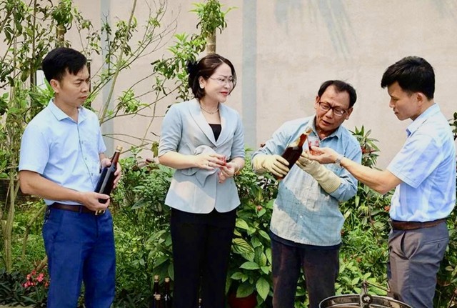 Thanh Hóa: Khi đồng vốn trở thành đòn bẩy phát triển sinh kế- Ảnh 1.