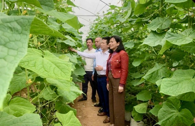 Thanh Hóa: Khi đồng vốn trở thành đòn bẩy phát triển sinh kế- Ảnh 2.