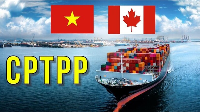 Xuất khẩu sang Canada 7 tháng năm 2026 đạt hơn 5,05 tỷ USD - Ảnh 1.