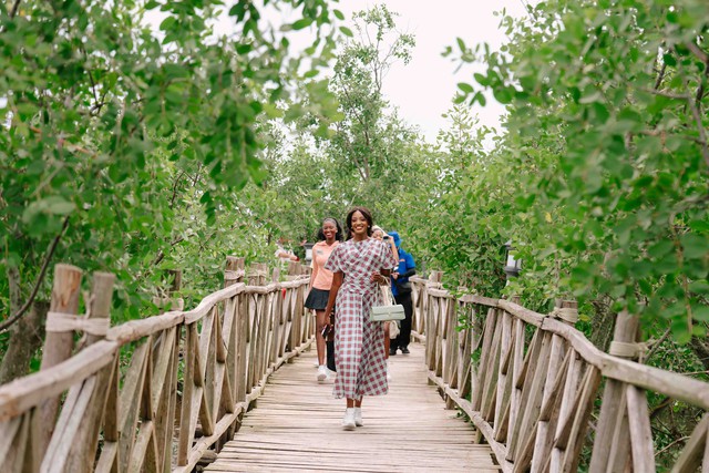 Từ Miss World 2026, Đồi Rồng khẳng định vị thế điểm đến Quốc tế của Hải Phòng - Ảnh 3.
