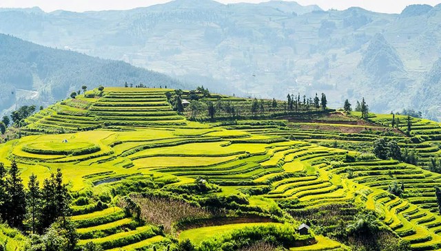 “Hương sắc mùa Thu” đánh thức sức hút cao nguyên trắng Bắc Hà- Ảnh 1.