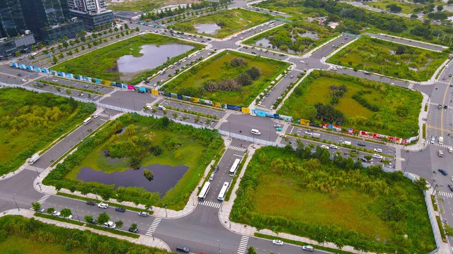 TP HCM: Phê duyệt phương án đấu giá quyền sử dụng khu đất 92 ha tại Bến Cát- Ảnh 1.