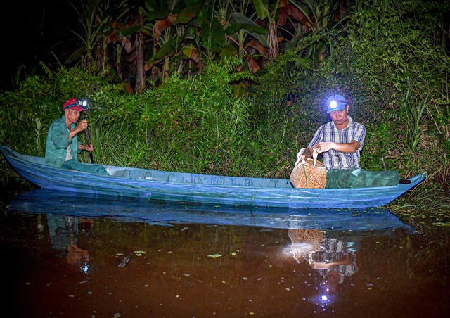 Cà Mau: Trải nghiệm độc đáo bơi xuồng đi dỡ lợp bắt cá đồng ở Vườn Quốc gia U Minh Hạ- Ảnh 2.
