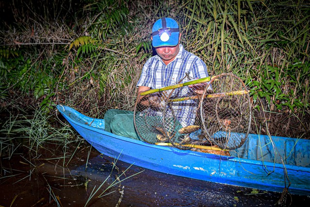 Cà Mau: Trải nghiệm độc đáo bơi xuồng đi dỡ lợp bắt cá đồng ở Vườn Quốc gia U Minh Hạ- Ảnh 6.