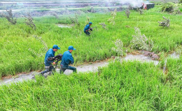 An Giang: Xã Vĩnh Thuận hoàn thành diễn tập chiến đấu phòng thủ năm 2026 - Ảnh 6.