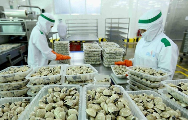 Nghêu Việt tăng tốc tại các thị trường chủ lực- Ảnh 1.