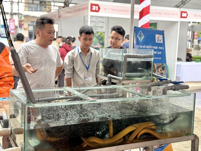 TP. Cần Thơ: Gian hàng JICA tại chương trình giao lưu Văn hóa - Thương mại Việt Nam - Nhật Bản thu hút khách tham quan - Ảnh 3.