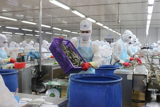 Doanh nghiệp sản xuất ưu tiên tăng năng suất hơn mở rộng nhân sự - Ảnh 1.