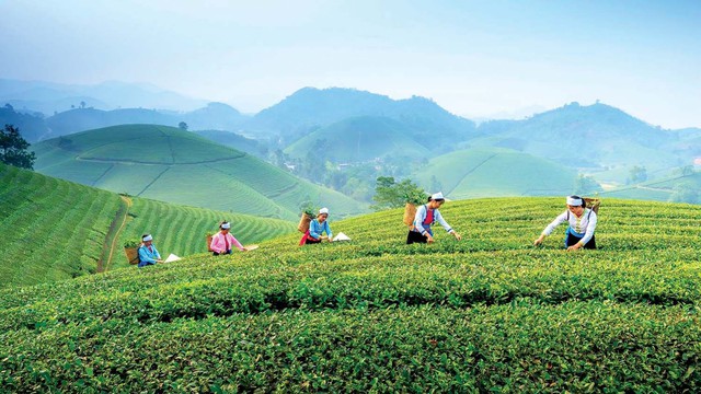 Đường sắt mở tuyến tàu du lịch Hà Nội - Thái Nguyên, kết nối trải nghiệm văn hóa trà- Ảnh 1.
