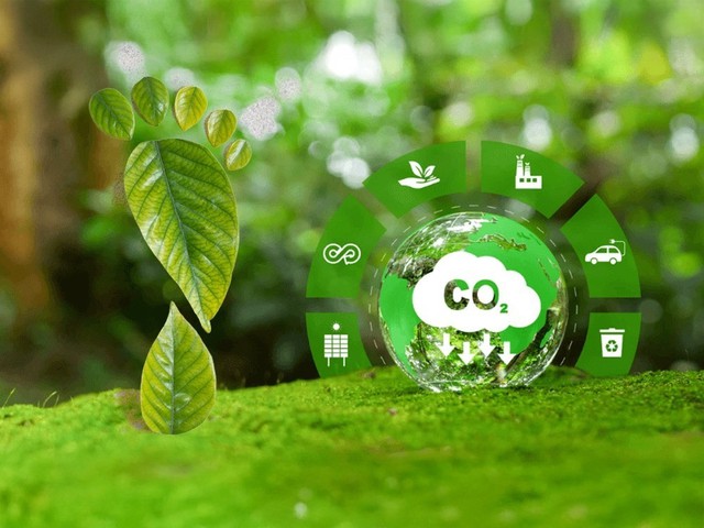Đã có 1.310 hạn ngạch được giao dịch trên sàn carbon trong nước sau hơn 2 tháng- Ảnh 1.