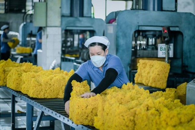 Xuất khẩu cao su 8 tháng đạt 1,88 tỷ USD giữa biến động thị trường- Ảnh 1.