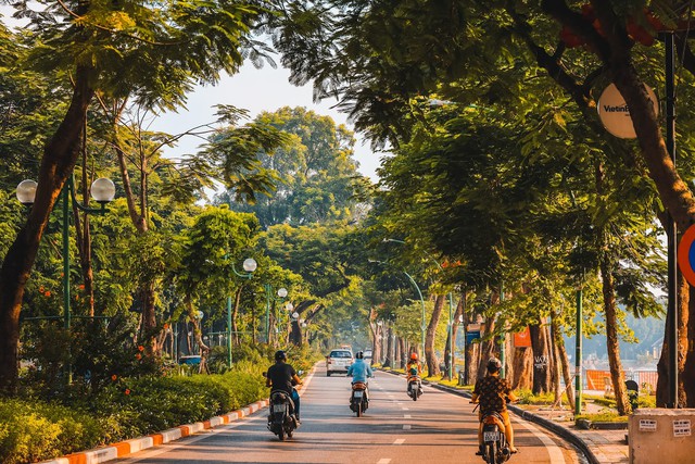 Phải lựa chọn cây xanh theo đặc điểm từng tuyến phố- Ảnh 1.