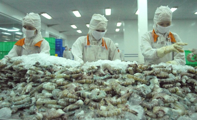 Kim ngạch xuất khẩu tôm 8 tháng đạt mốc 3,3 tỷ USD- Ảnh 1.