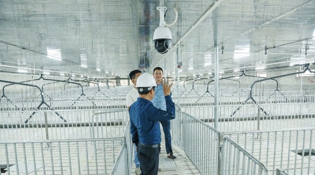 Thanh Hóa: Đổi cách làm nông, nâng tầm nông sản- Ảnh 1.