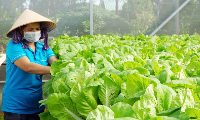 Hà Nội: Quỹ Hỗ trợ nông dân đạt hơn 944 tỷ đồng- Ảnh 1.