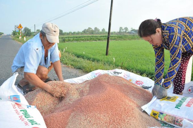 Nhập khẩu phân bón giảm hơn 40% trong 8 tháng- Ảnh 1.