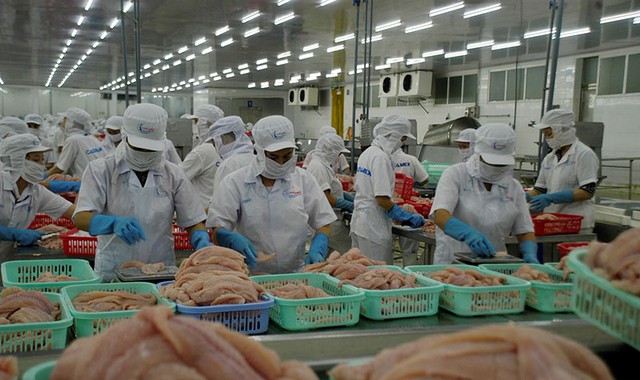 Ấn Độ chiếm hơn 15% thị phần thủy sản nhập khẩu của Việt Nam - Ảnh 1.