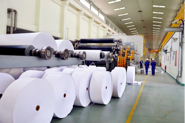 Xuất khẩu giấy và các sản phẩm từ giấy đạt 238,54 triệu USD- Ảnh 1.
