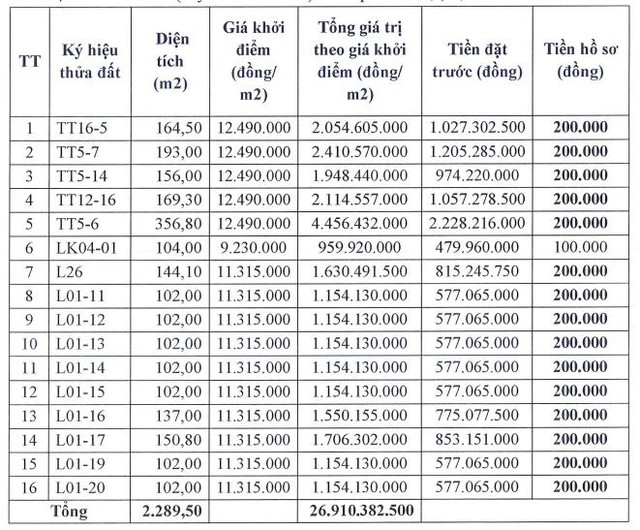 Hà Nội: Đấu giá quyền sử dụng đất đối với 29 thửa tại xã Hát Môn và xã Gia Lâm- Ảnh 1.
