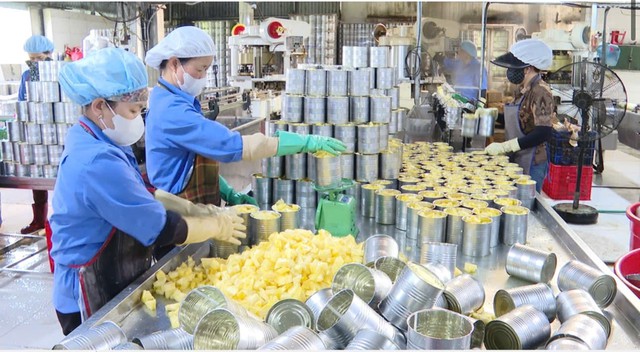 Từ thực thi FTA đến nâng sức cạnh tranh: Thanh Hóa tạo nền tảng cho xuất khẩu bền vững- Ảnh 2.